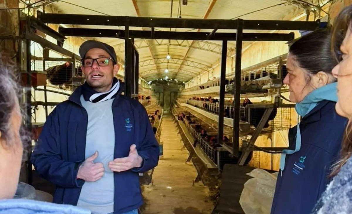 Uriburu incorporó gallinas ponedoras para fortalecer la producción local de huevos