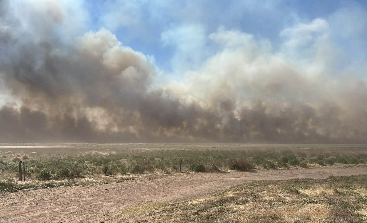 Un cortocircuito eléctrico provocó incendio que afectó campos entre Quemú y Trilí