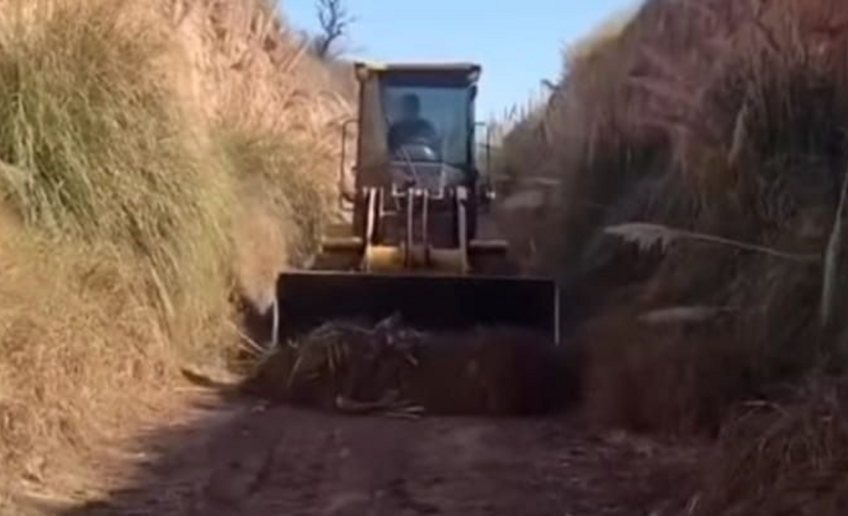 En Anguil realizan tareas preventivas ante la posible llegada de El Niño