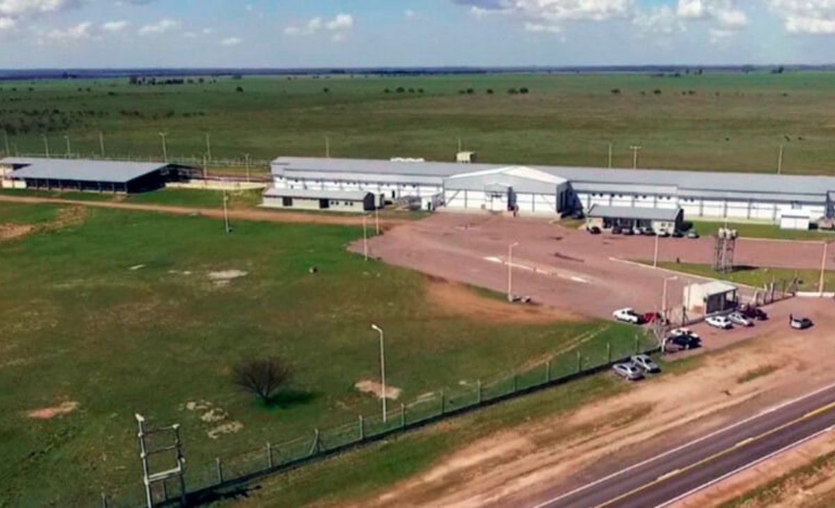 El frigorífico de Bernasconi fue habilitado para exportar a China