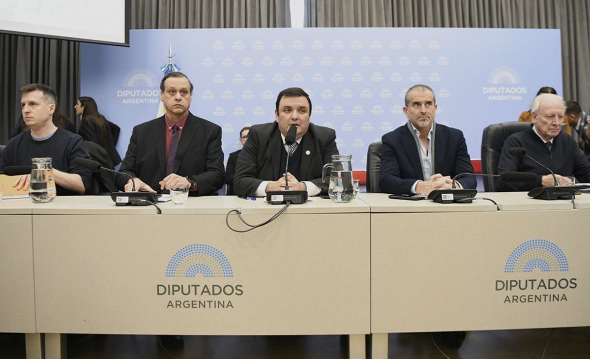 El oficialismo tuvo que ceder y la emergencia en Discapacidad tiene dictamen