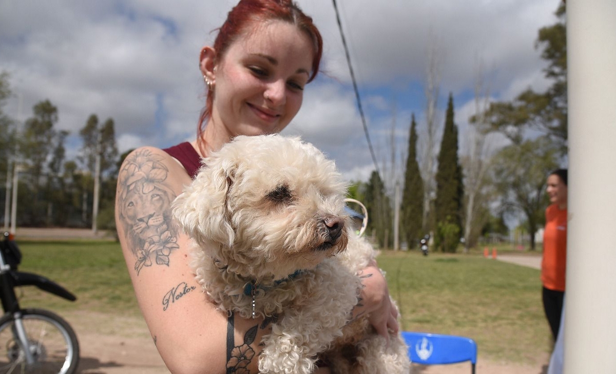 Vacunaron a más de un centenar de perros y gatos