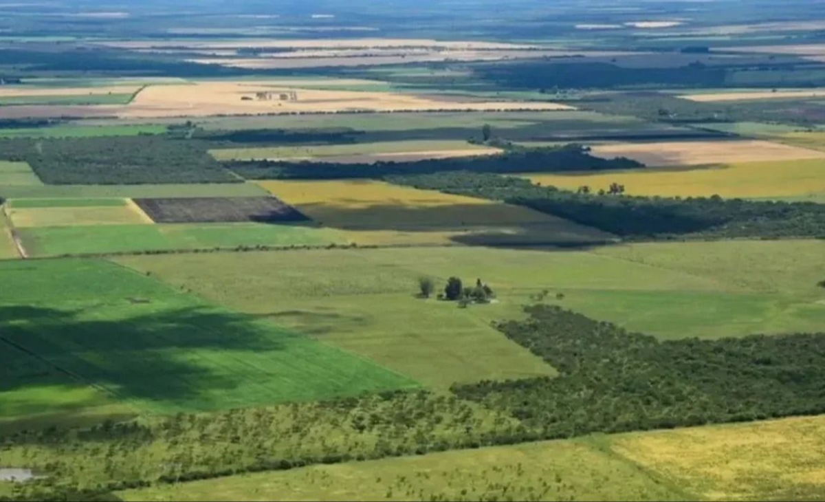 La Corte revocó el fallo que declaraba inconstitucional la derogación de la Ley de Tierras