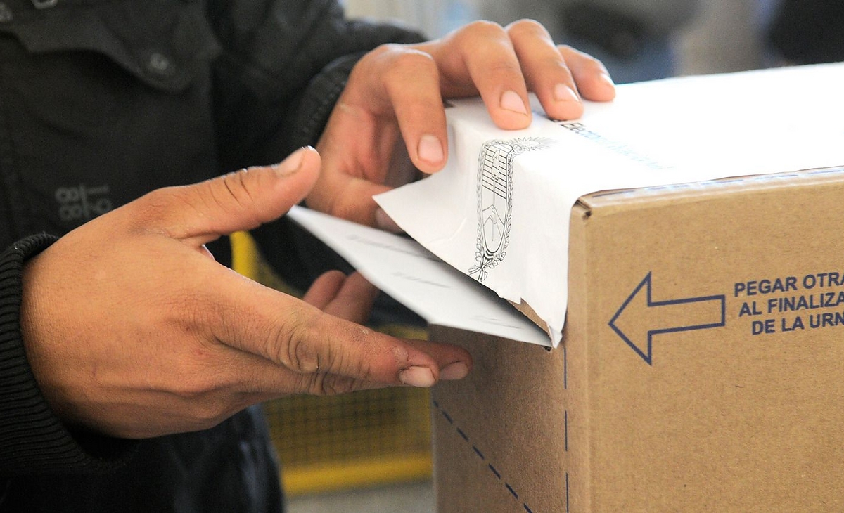 Las PASO y el futuro del gobierno, serán clave para definir el cronograma electoral