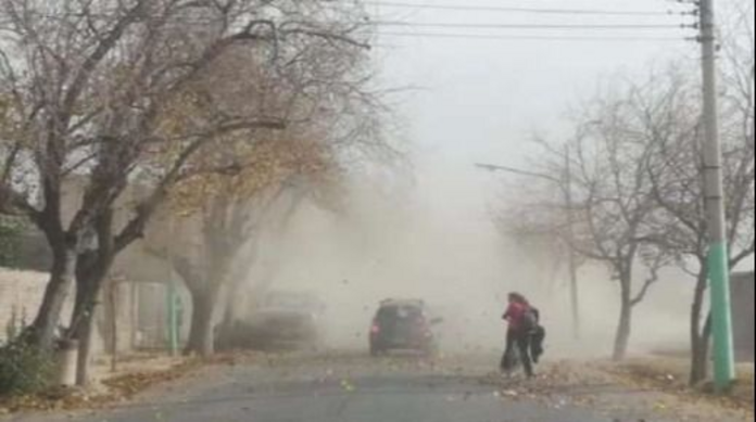 Emitieron alerta por viento y nevada para la región