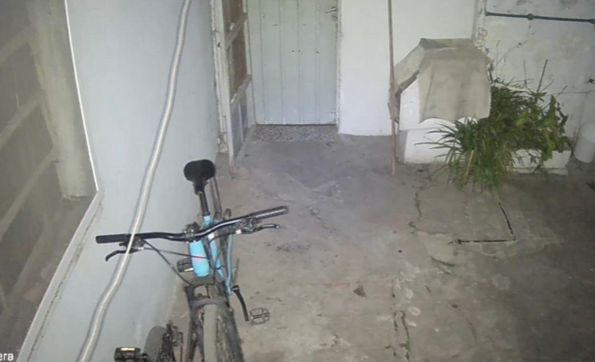 Puso una cámara para atrapar a un ladrón y se llevó una sorpresa