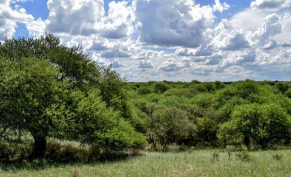 Provincia envía proyecto de Ley de Tierras Rurales a la Legislatura