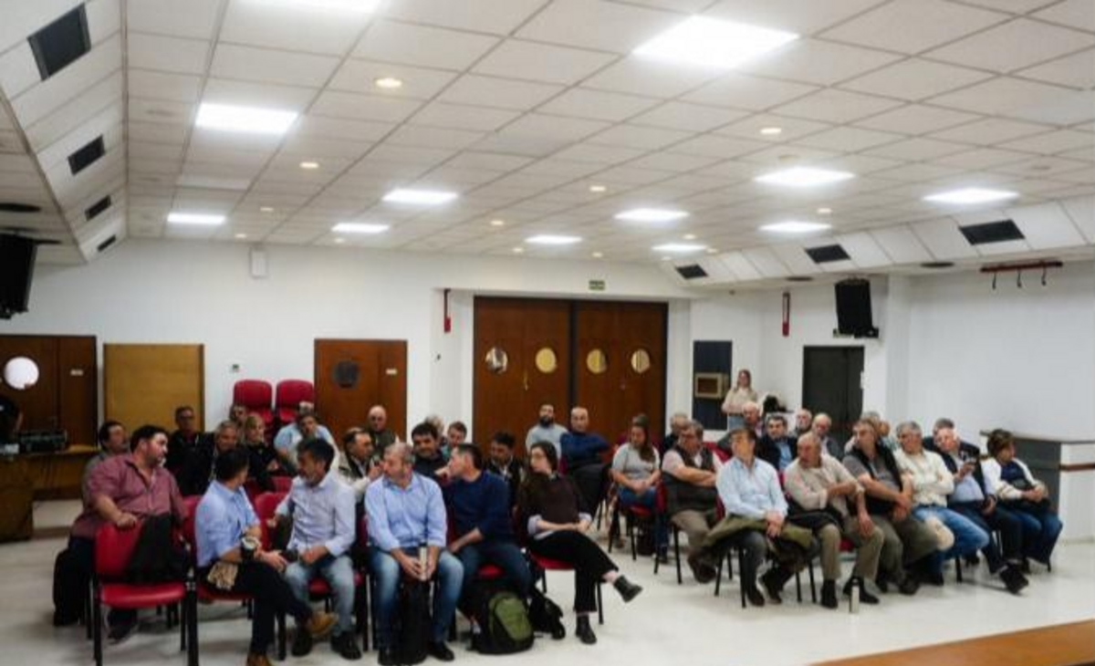 Aftosa: preocupa desregulación de vacunación