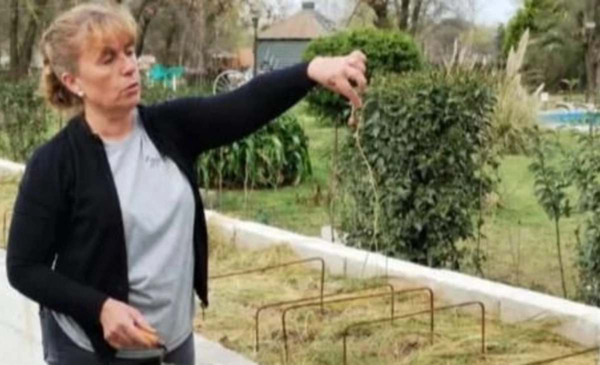 Productora de Rancul ganó un premio por su emprendimiento de azafrán