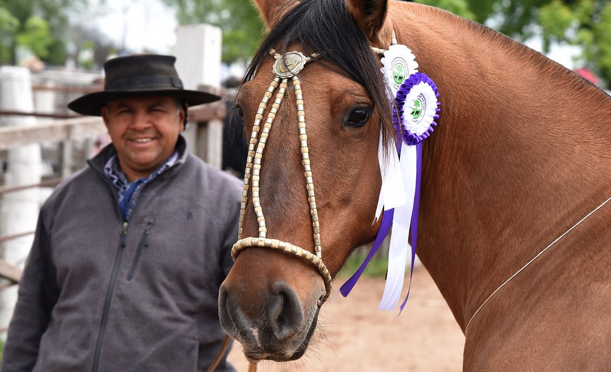 Toay recuperó su exposición rural