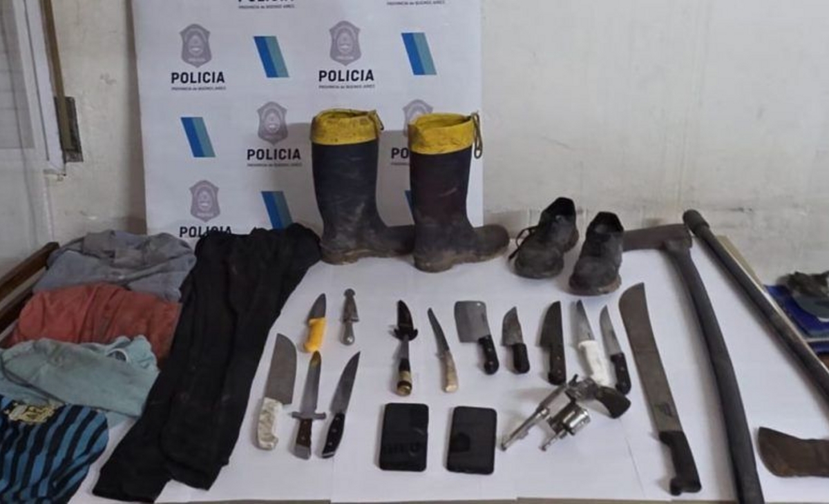 Investigan un violento ataque contra una yegua que indignó a toda una comunidad