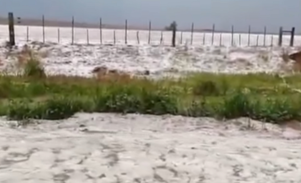 Severo temporal de agua y granizo impactó en establecimientos rurales