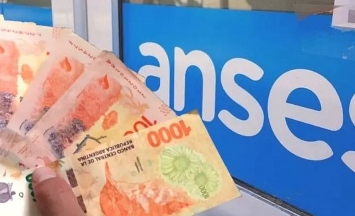 Anses: cómo es el formulario para cobrar 8210 pesos adicionales